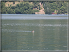 foto Lago di Caldonazzo